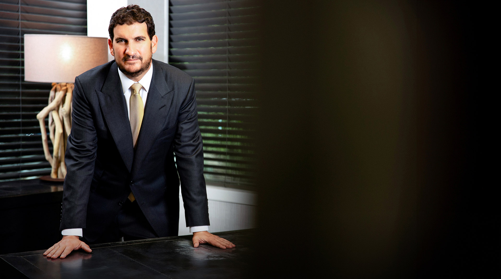 Doctor standing at desk